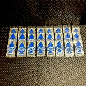 24• LITTLE TREE AIR FRESHENERS NEW CAR SCENT